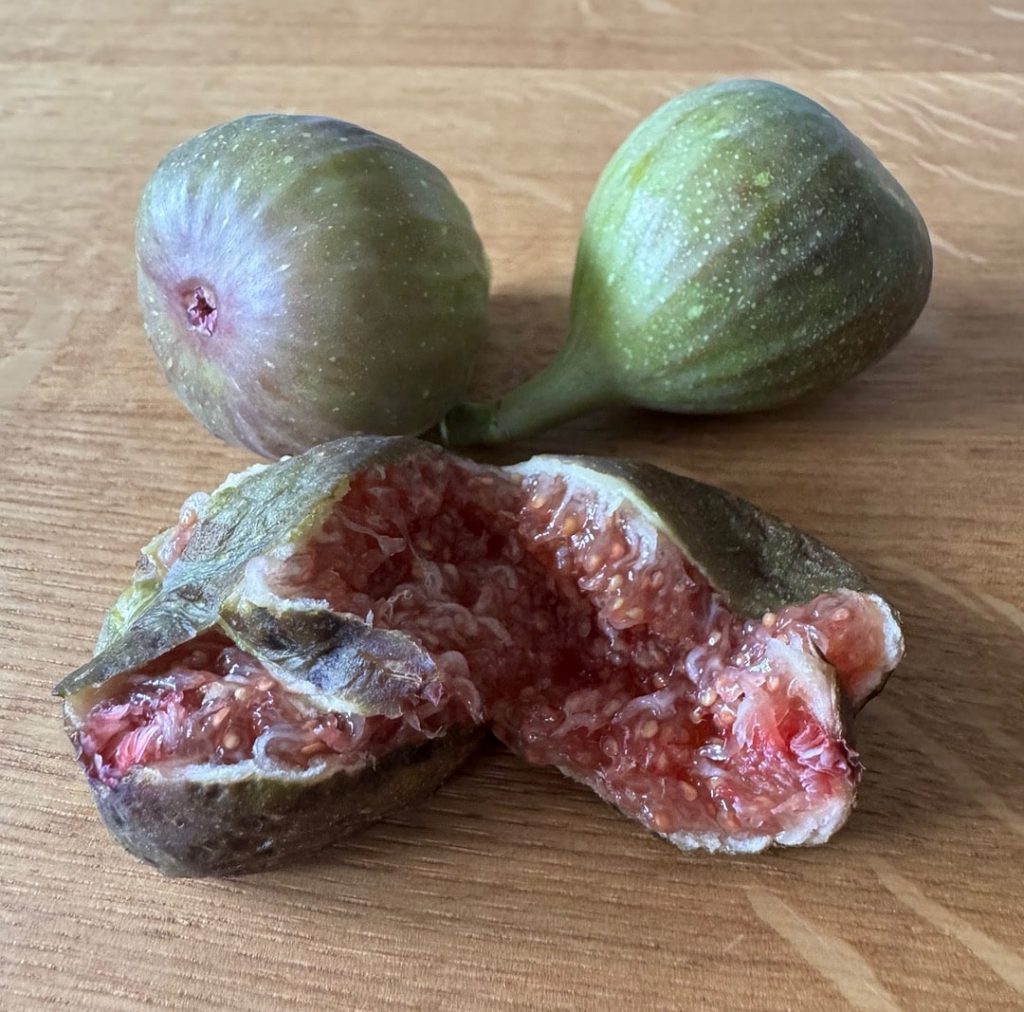 Feigen: Süße Früchte mit großer Wirkung